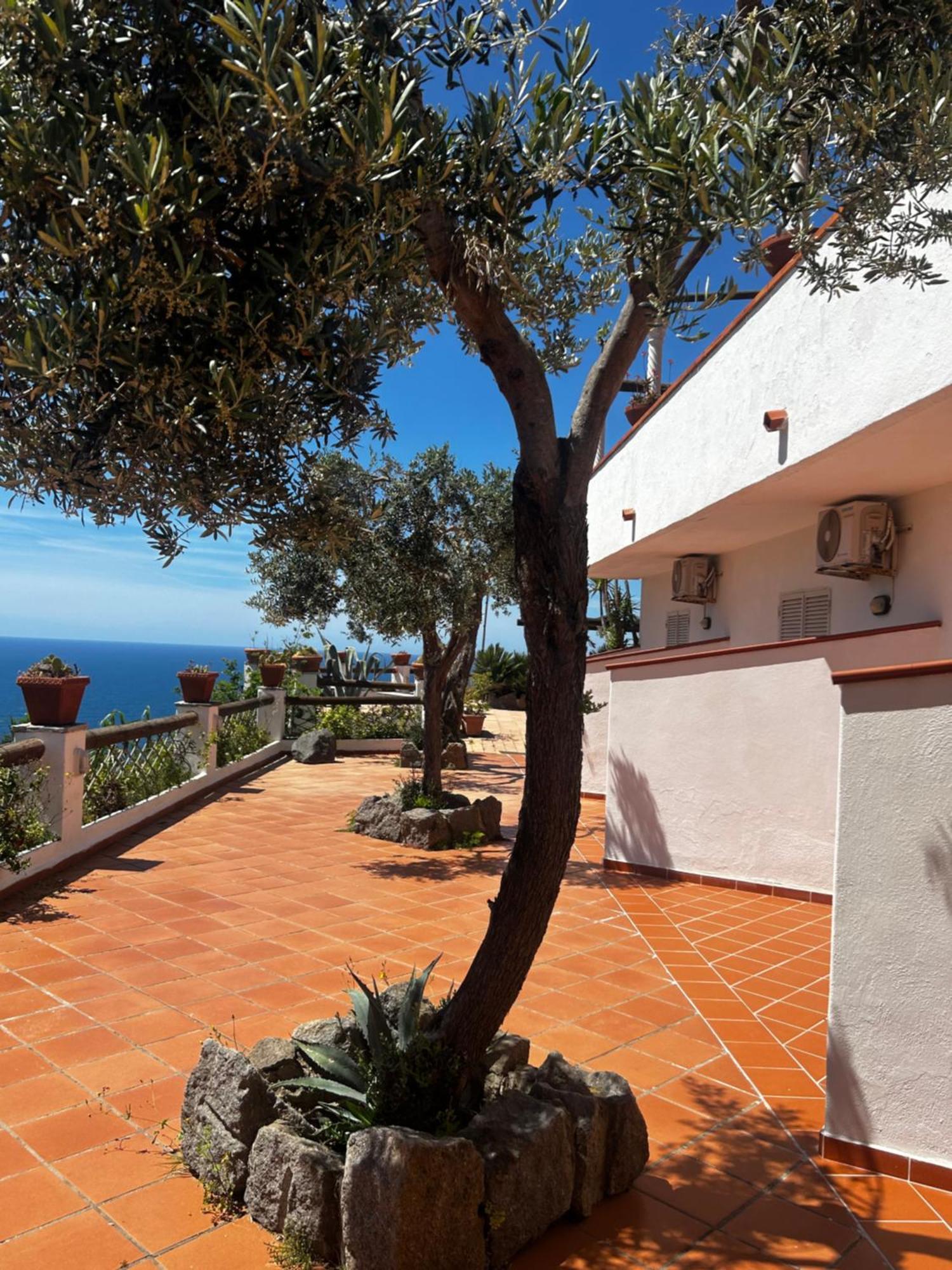 Hotel Punto Azzurro Forio di Ischia 外观 照片