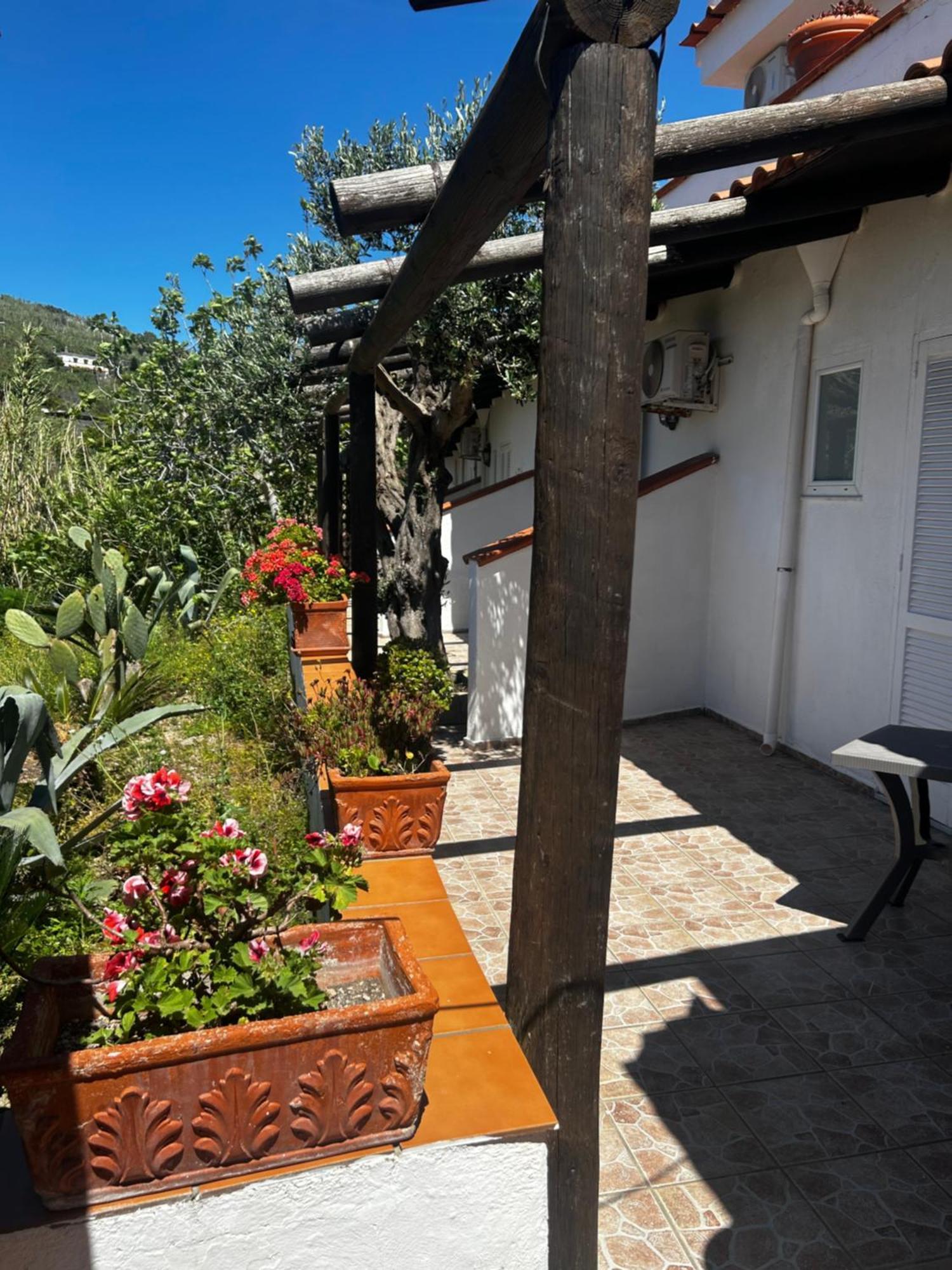 Hotel Punto Azzurro Forio di Ischia 外观 照片