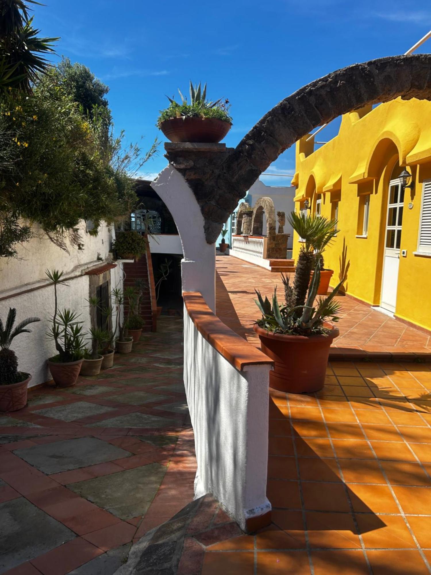 Hotel Punto Azzurro Forio di Ischia 外观 照片
