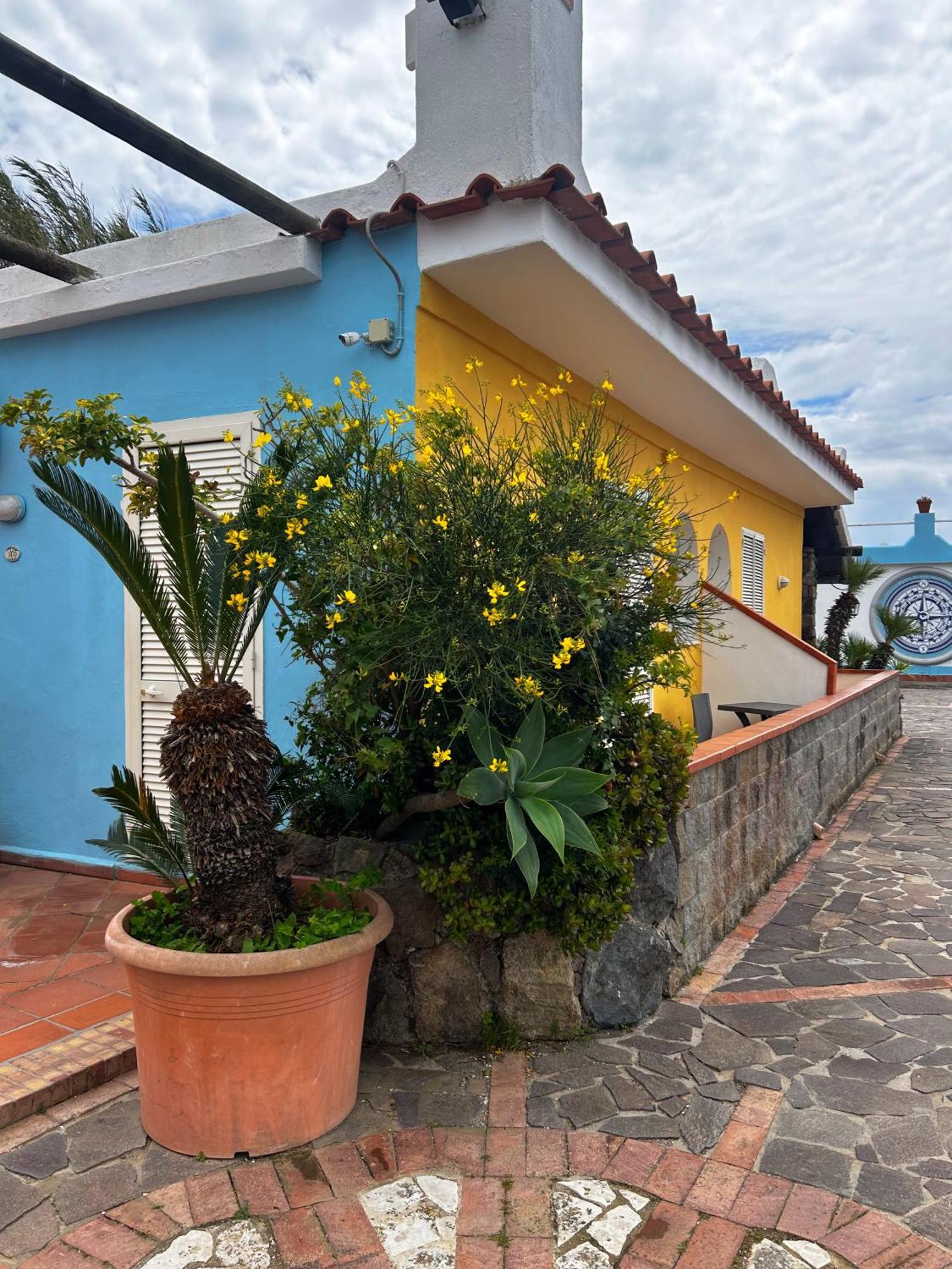 Hotel Punto Azzurro Forio di Ischia 外观 照片